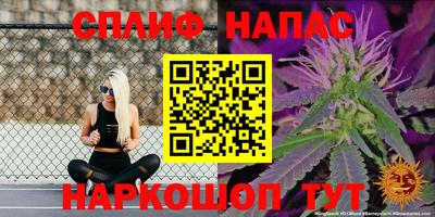 ALPHA-PVP Партизанск