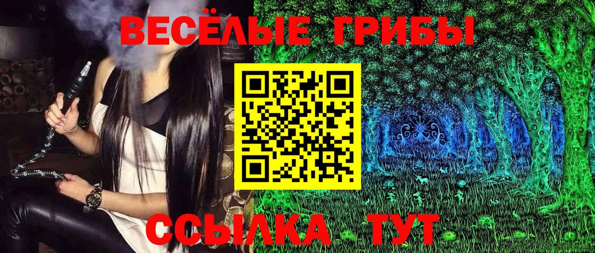 Галлюциногенные грибы GOLDEN TEACHER Сосновоборск