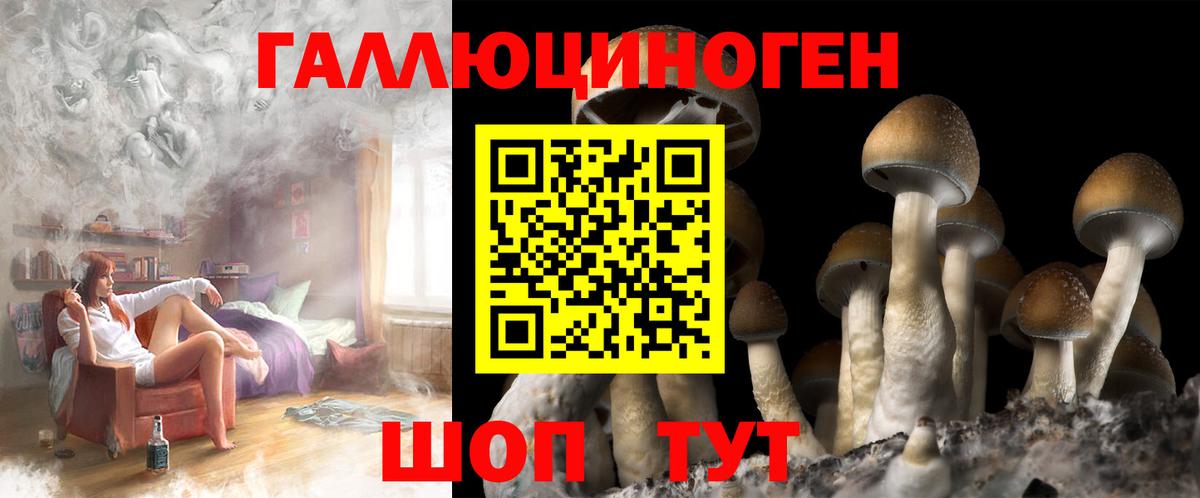 Галлюциногенные грибы Magic Shrooms  Вход с VPN  где можно купить наркотик  Сосновоборск 